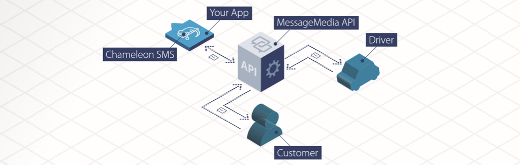 Image for What is Chameleon SMS?